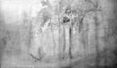 Alberi e terrazza sul mare