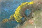 Ginestre sul mare, da Villa Maresca